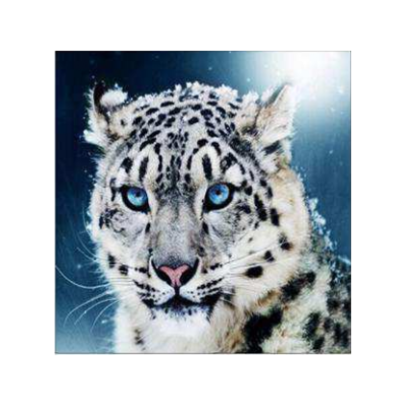 Lumeleopard 30x30 cm