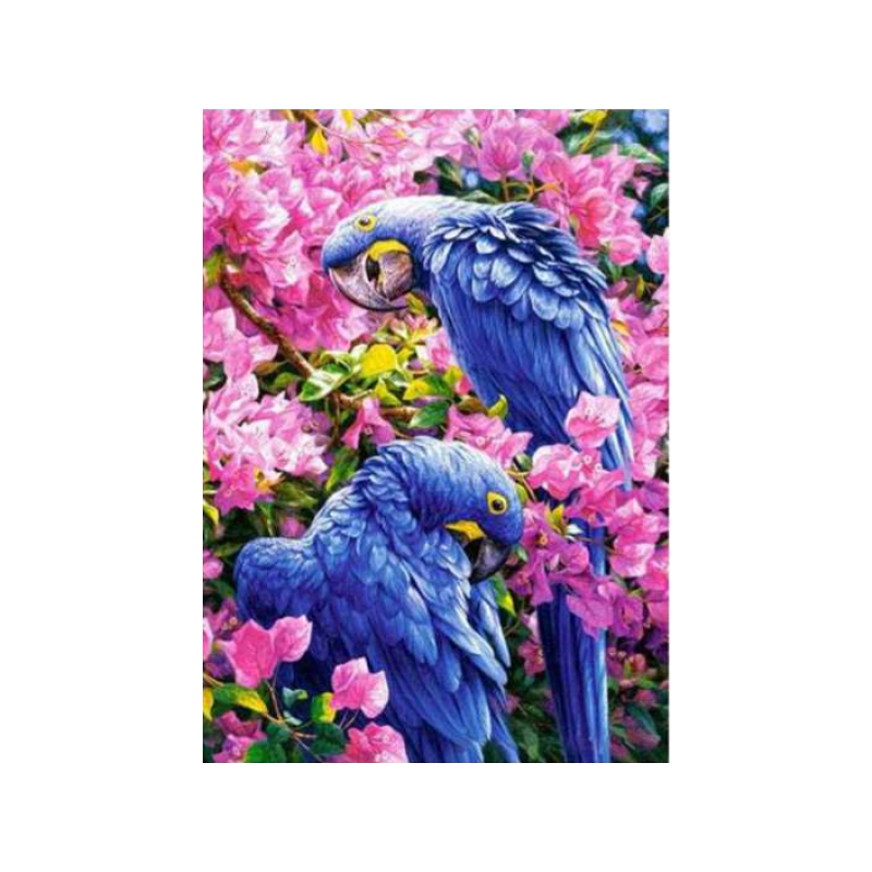 Blue parrots 30x40 cm