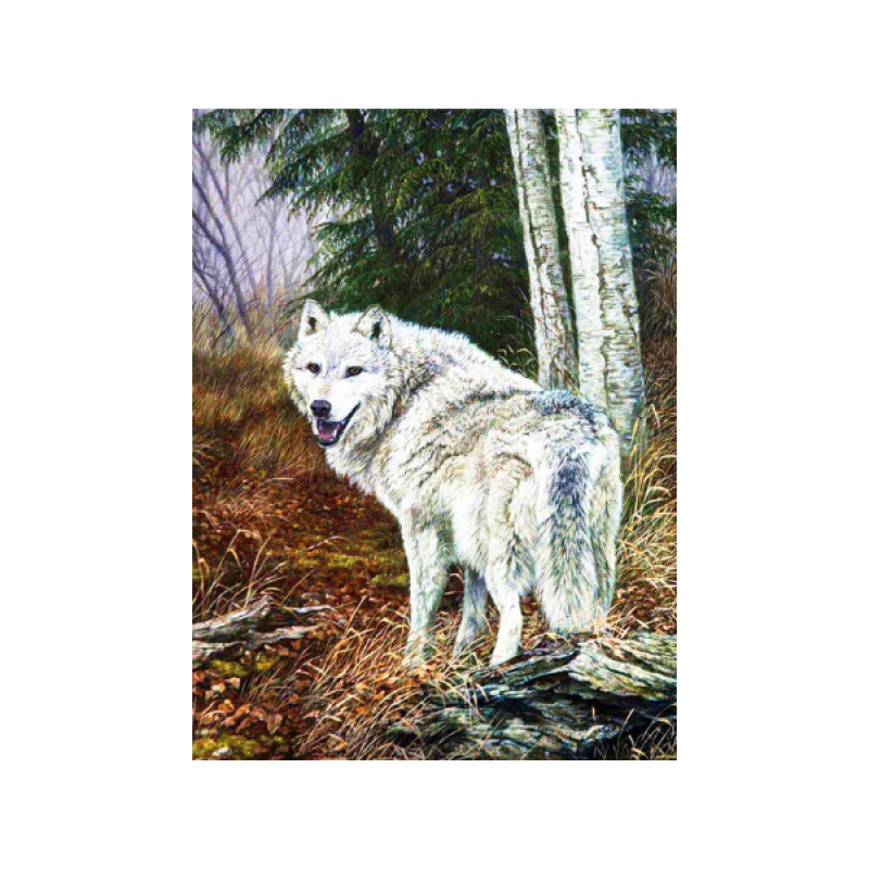 Волк 1 40x50 cm