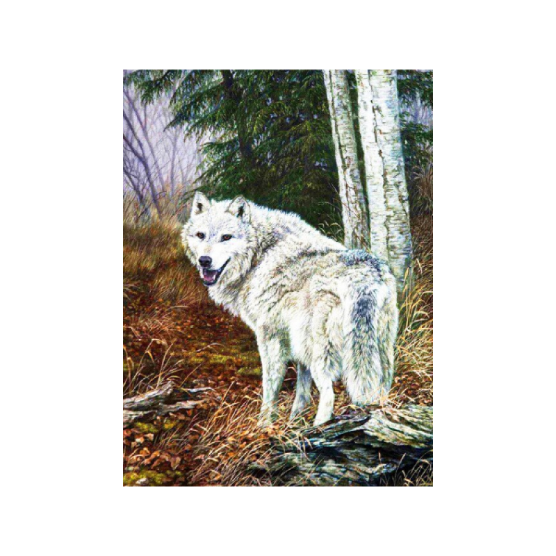 Vilks 1 40x50 cm