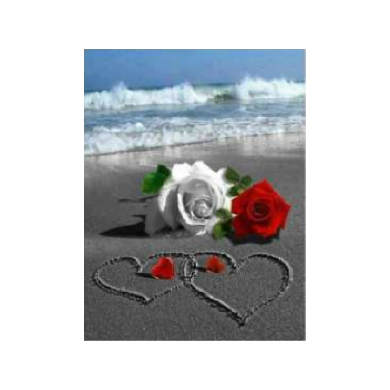 Roses on the beach  30x40 cm
