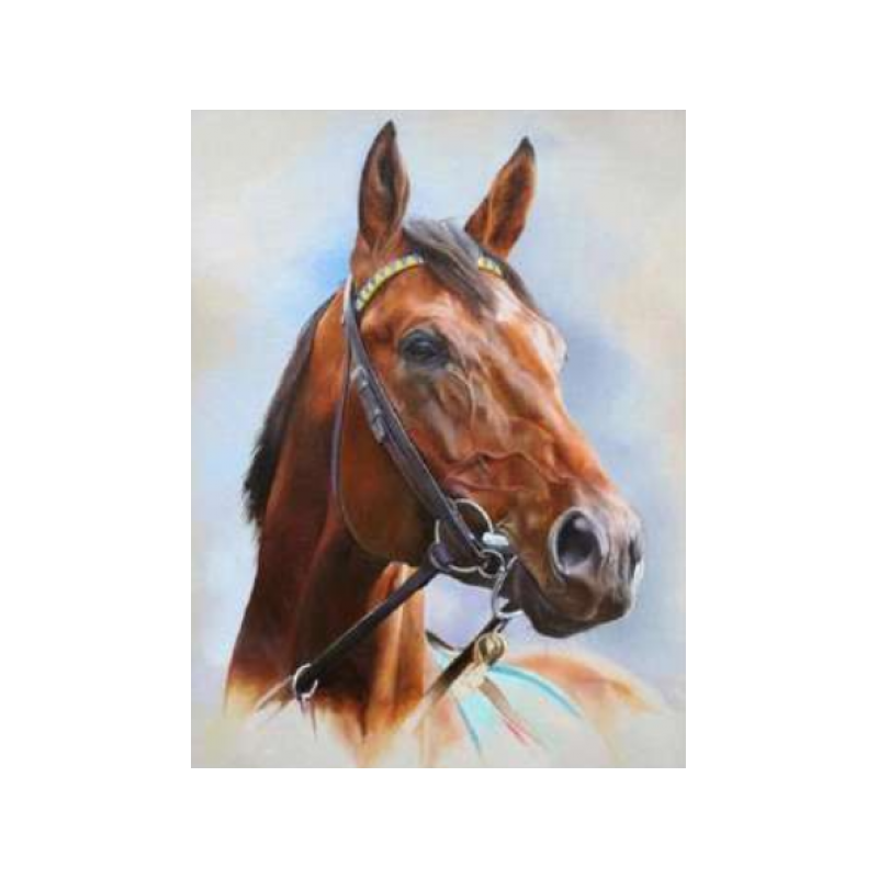 Horse 30x40 cm