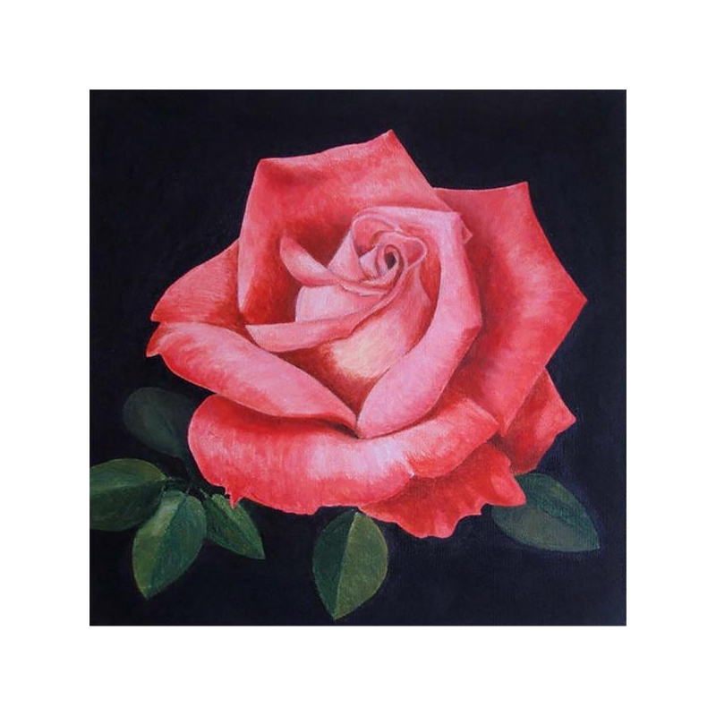 Rožė 30x30 cm