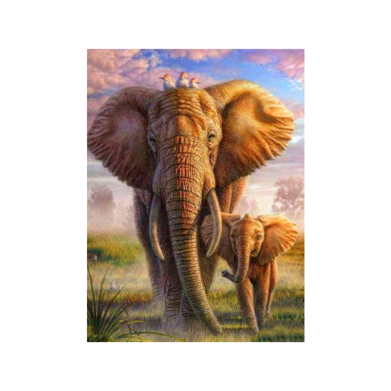 Kaks elevanti 30x40 cm
