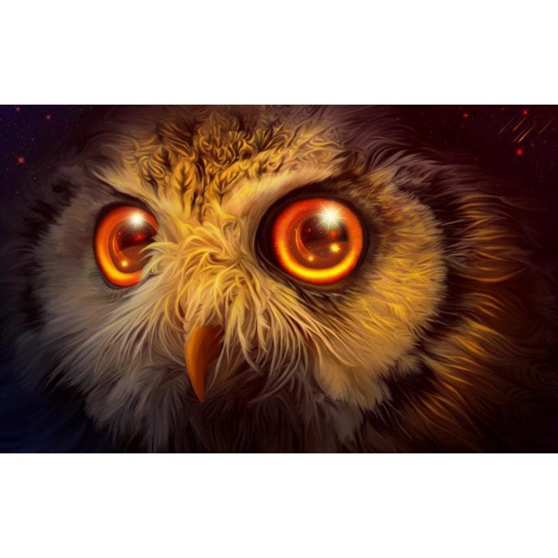  Owl 30x45 cm