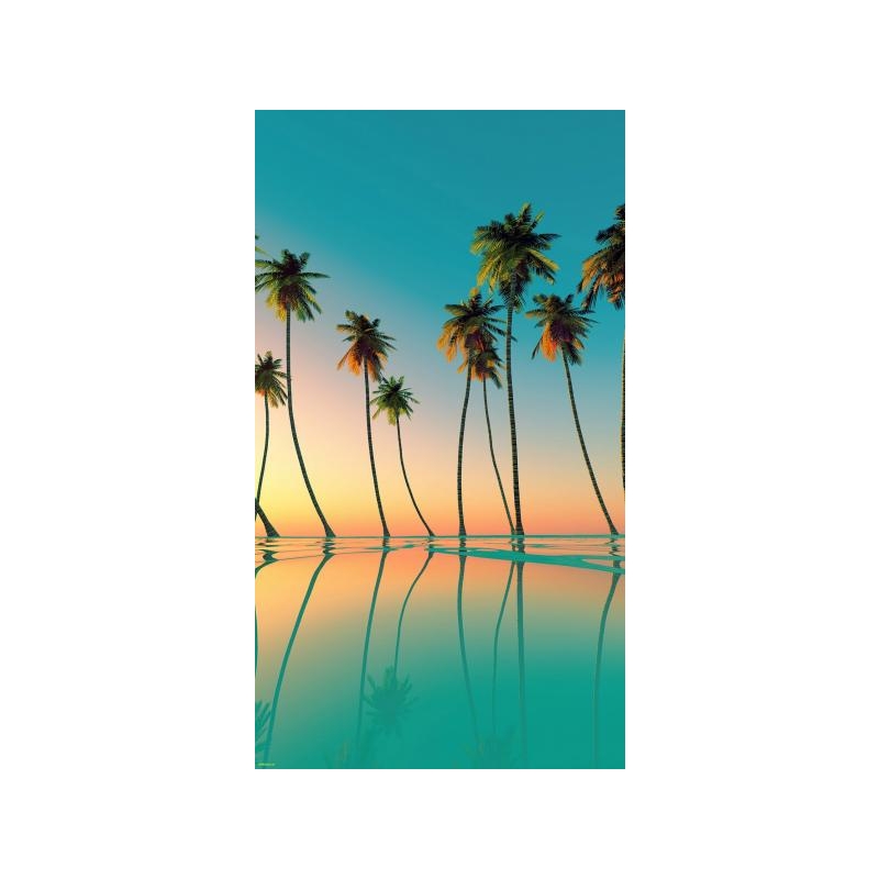 Palm trees on the shore 30x40 cm