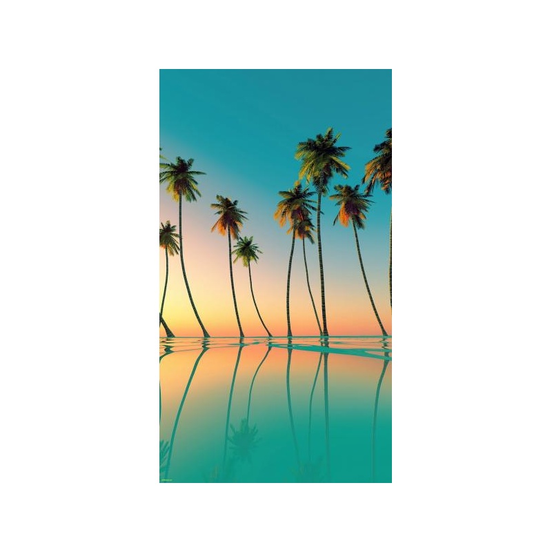 Palm trees on the shore 30x40 cm