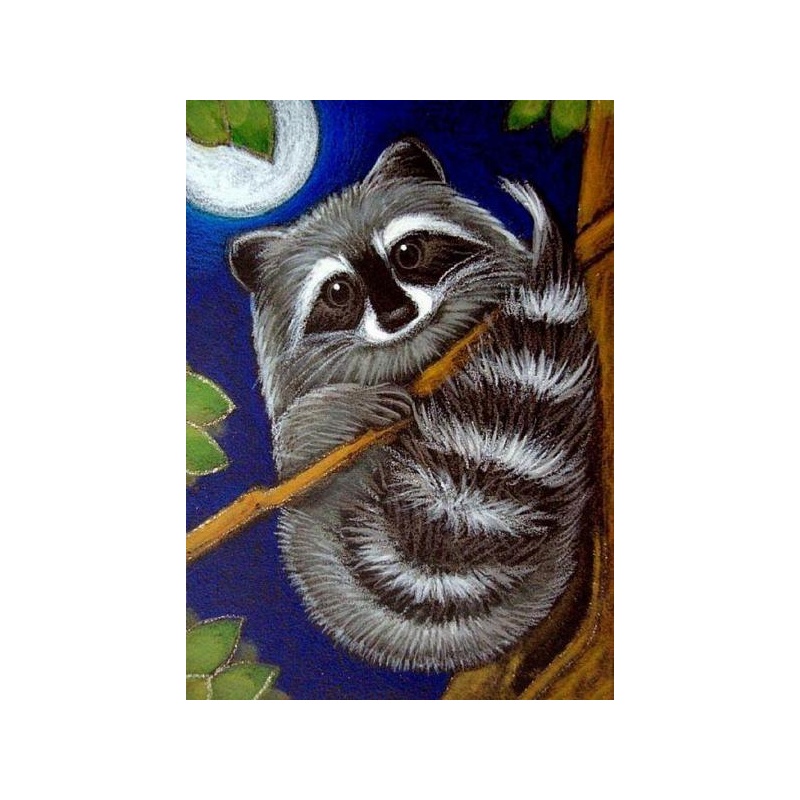  Raccoon 30x40 cm