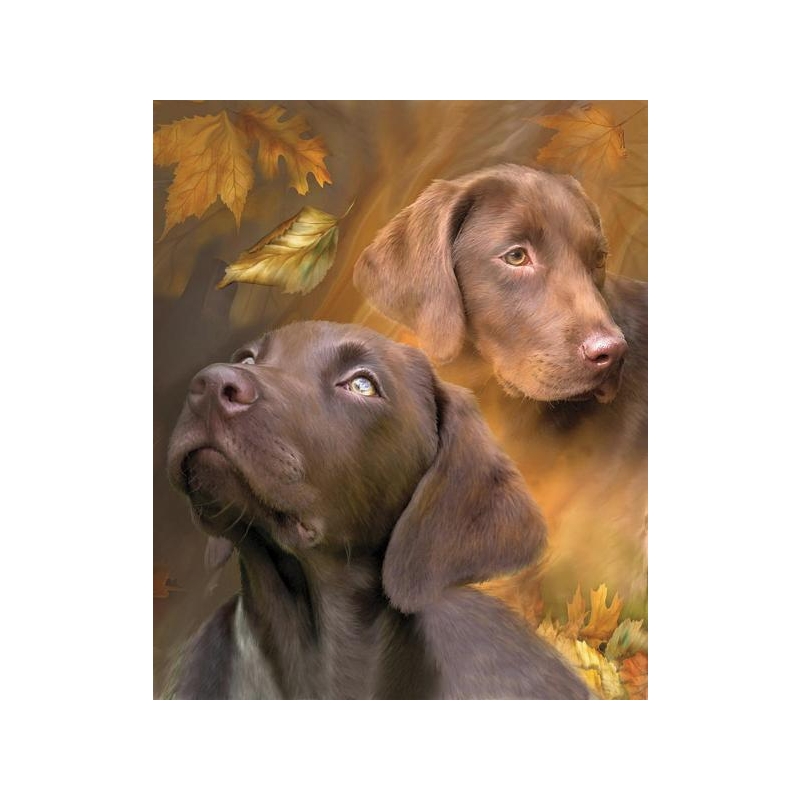 Brown dogs 30x36 cm