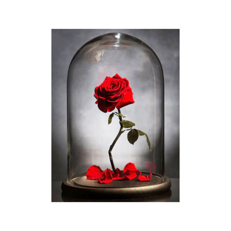 Rose in glass dome 30x40 cm