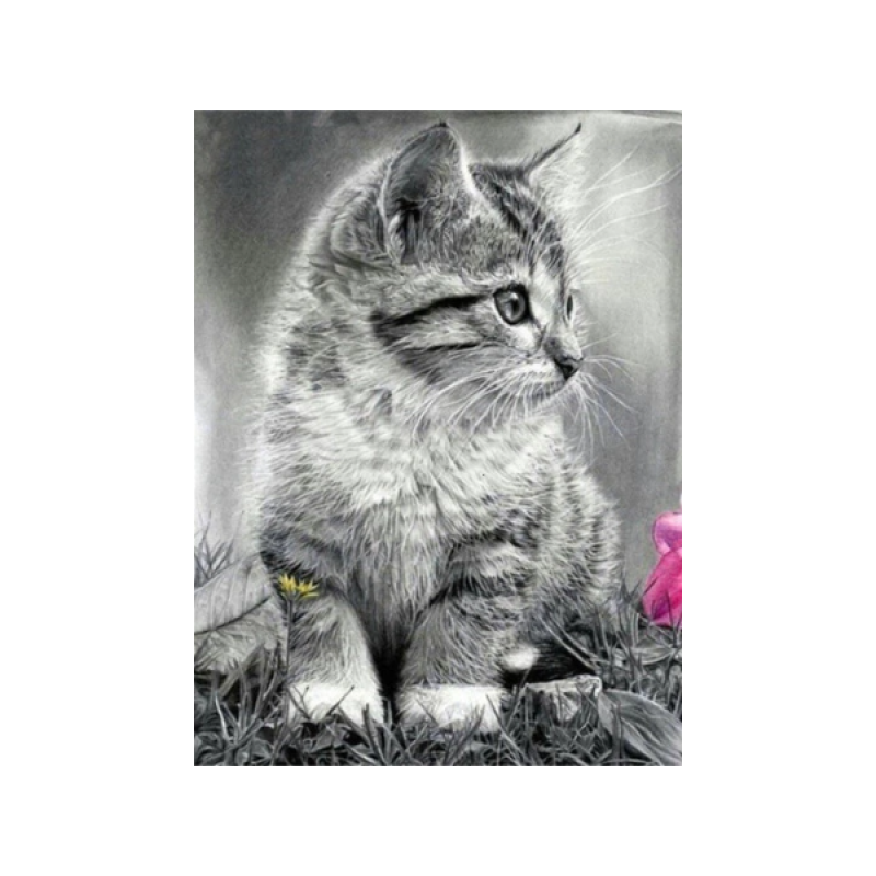 Grey Kitten 30x40 cm