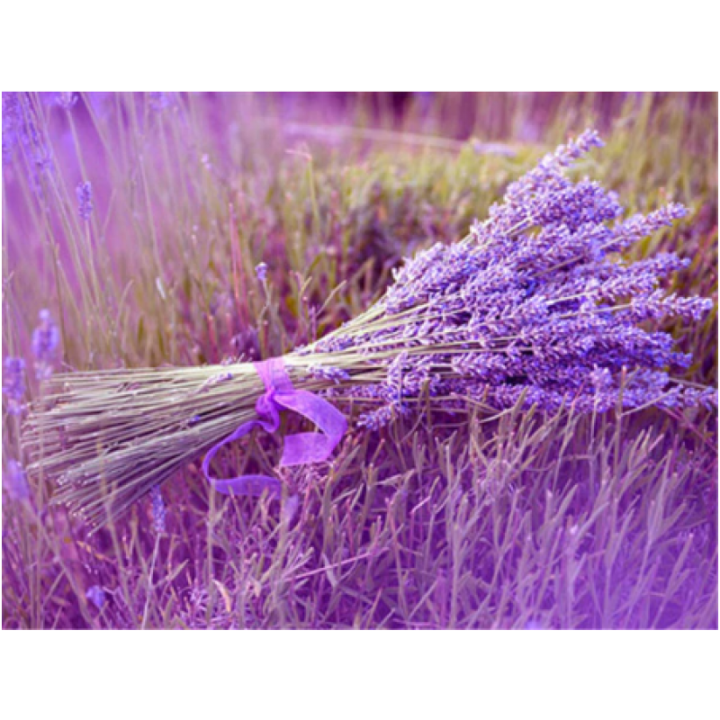 Lavanda 30x40 cm