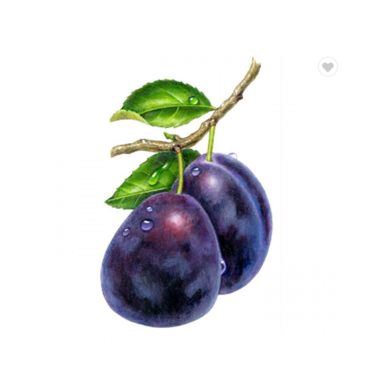 Plums 30x40 cm