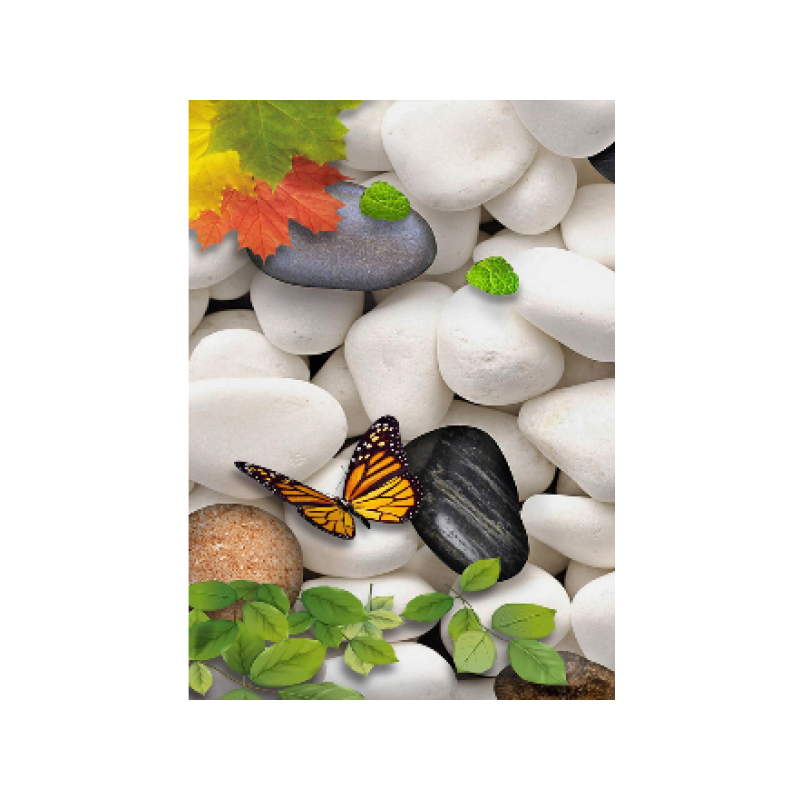 Butterfly on Stones 30x40 cm