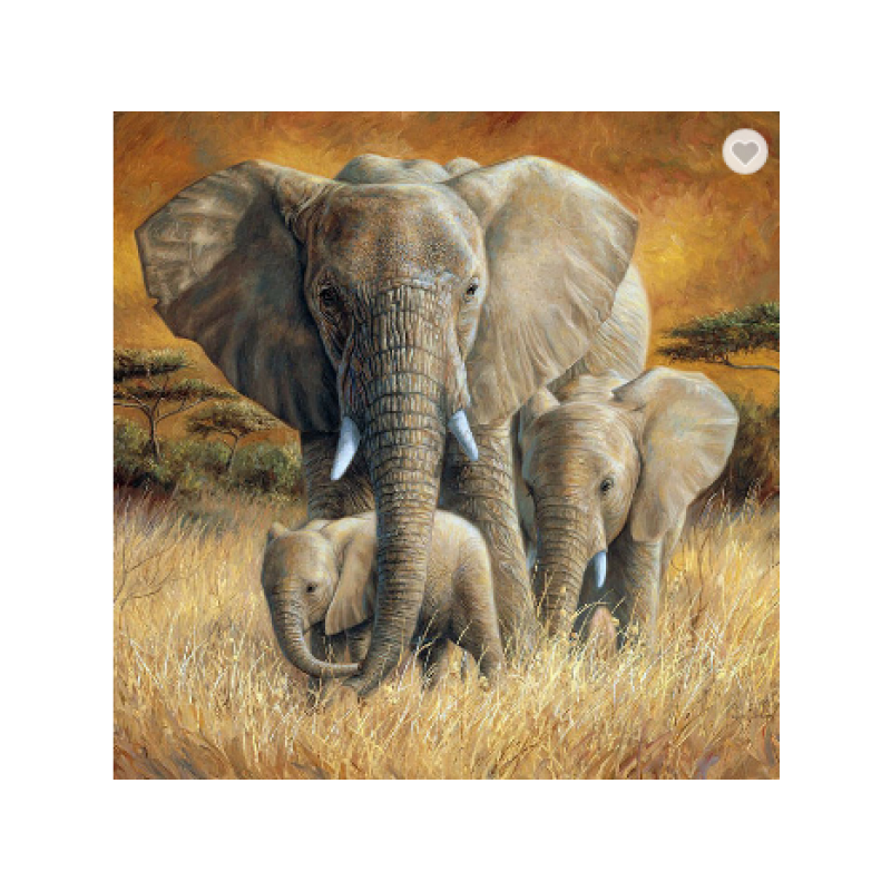 Elephant Family 2 30x40 cm