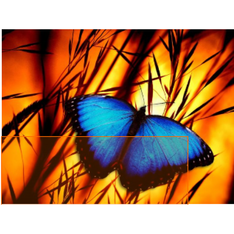 Mėlynas drugelis 30x40 cm