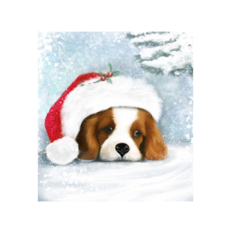 Puppy With a Santa Hat 30x40 cm