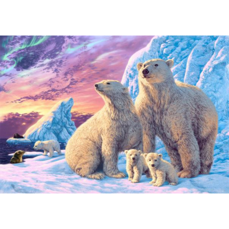 Polar bears 40x30 cm