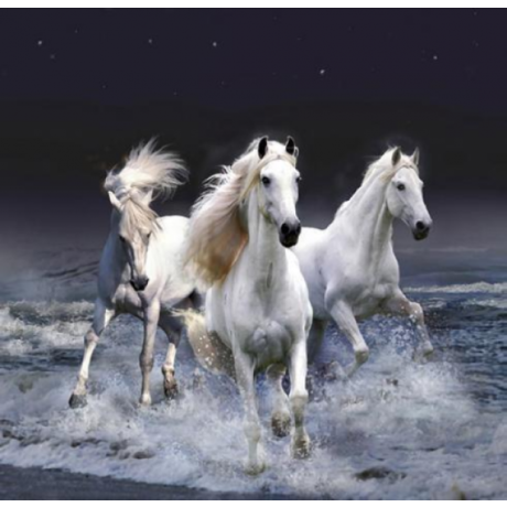 White horses  30x30 cm