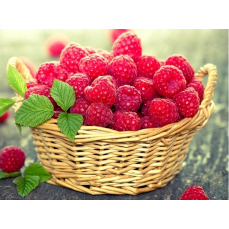 Raspberries 23x33 cm