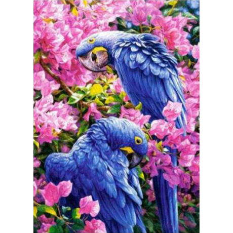 Blue parrots 30x40 cm