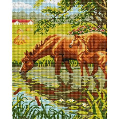 horses - with frame 30x40 cm
