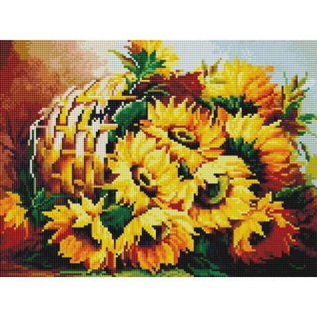 Saulespuķes - ar rāmi 30x40 cm