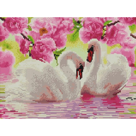 Swans - with frame 30x40 cm