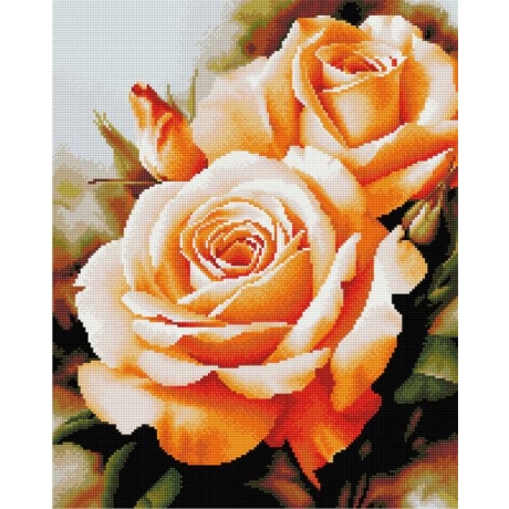 Rožės- su rėmeliu 40x50 cm