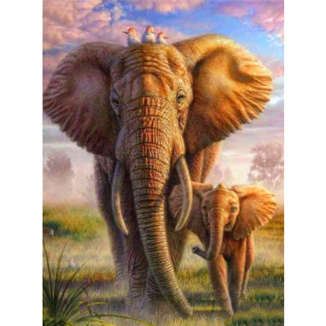  Два слона 30x40 cm