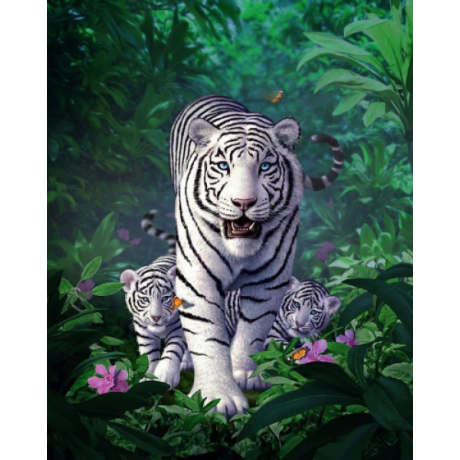 Tiger family 40x50 cm