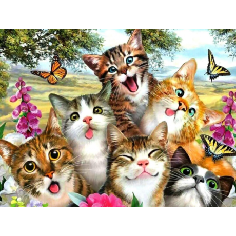 Funny cats 40x30 cm