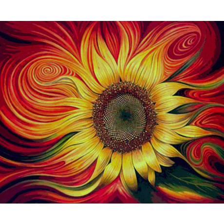 Colorful sunflower 35x45 cm