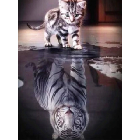 Кот и Тигр 40х40
