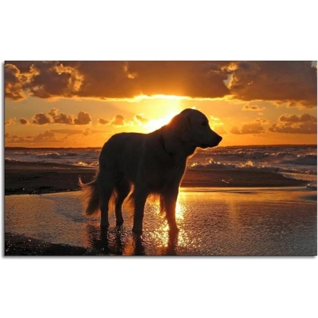Dog at sunset 40x30