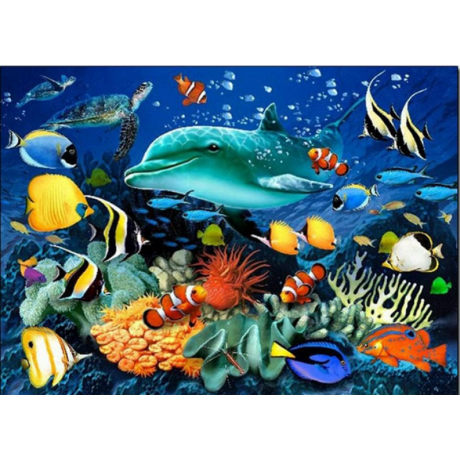 Värvilised kalad 40x30
