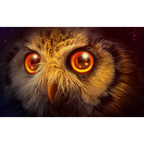  Owl 30x45 cm