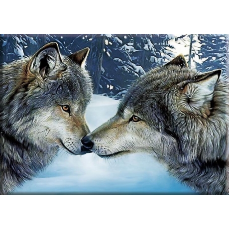  Wolves 30x40 cm