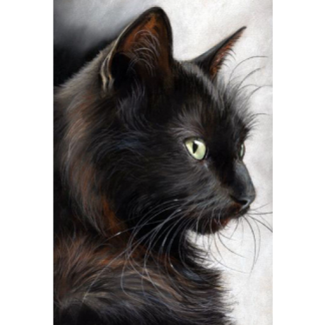 Juoda katė 30x40 cm