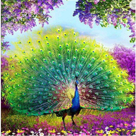 Peacock 5 38x38 cm