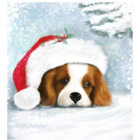 Raganos šuniukas Kalėdų Senelio skrybėlėje 30x40 cm