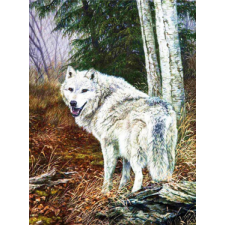 Wolf 1 40x50 cm