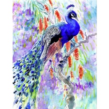 Pāvs 30x40 cm