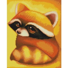 Raccoon - with frame 30x40 cm