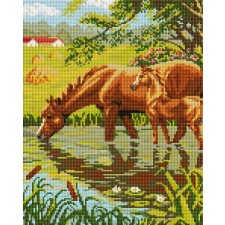 zirgi - ar rāmi 30x40 cm