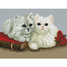 Cats- with frame 30x40 cm
