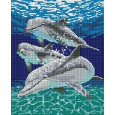 Delfinai - su rėmeliu 30x40 cm