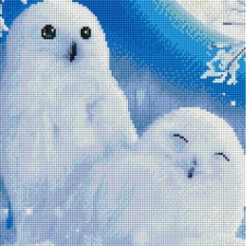 Owls -  with frame 30x30 cm