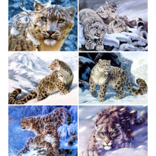 Different leopards 30x40 cm