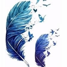 Синие перья 30x42 cm